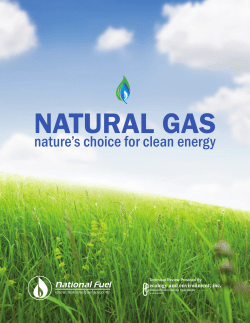 nature`s choice for clean energy