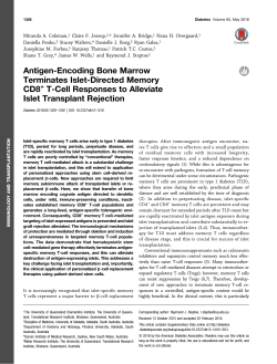 Antigen-Encoding Bone Marrow Terminates Islet