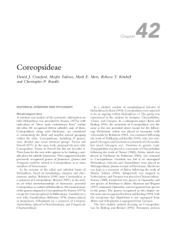Coreopsideae