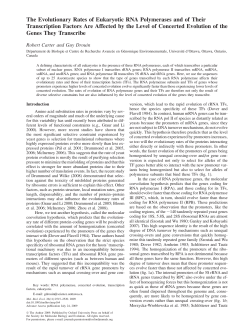 The Evolutionary Rates of Eukaryotic RNA Polymerases and of Their