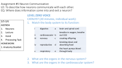 Neuron Communication