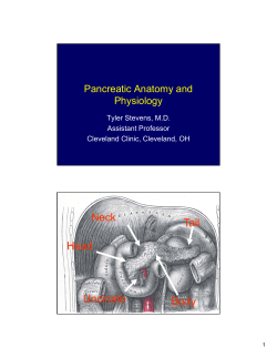 Pancreatic Anatomy and Physiology