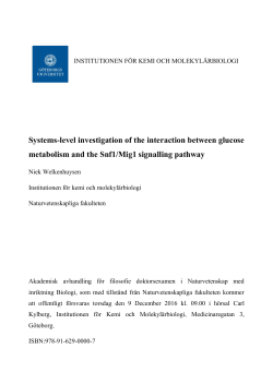 Systems-level investigation of the interaction between glucose