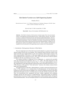 Skin Barrier Function as a Self-Organizing System