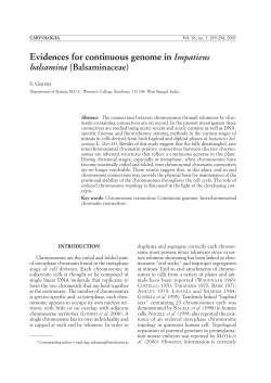 Evidences for continuous genome in Impatiens balsamina