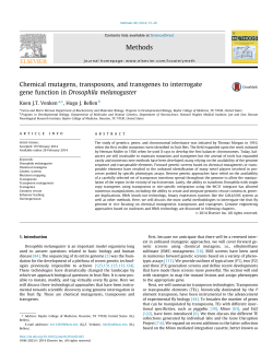 Chemical mutagens, transposons, and transgenes to interrogate