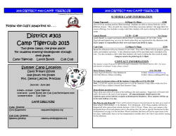 District #303 Camp Tigercub 2015