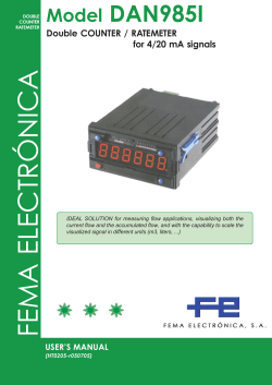 FEMA ELECTR&Oacute;NICA