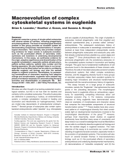 Macroevolution of complex cytoskeletal systems in