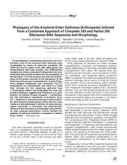 Phylogeny of the Arachnid Order Opiliones