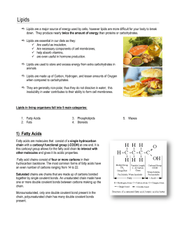 1.5 Lipids