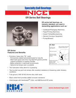 Nice ER Brochure-3-3-05--for PDF.qxp