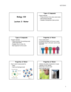 Biology 102 Lecture 2: Water