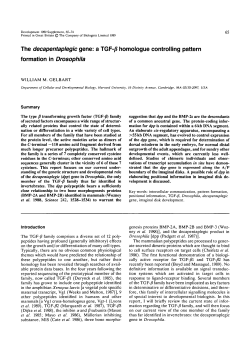 The decapentaplegic gene: a TGF-/i homologue