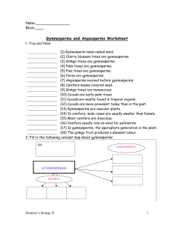Gymnosperms and Angiosperms Worksheet