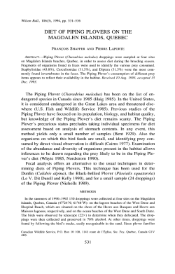 DIET OF PIPING PLOVERS ON THE MAGDALEN ISLANDS, QUEBEC