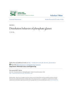 Dissolution behavior of phosphate glasses