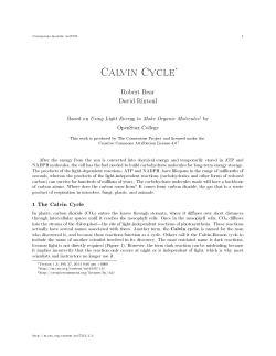 Calvin Cycle - OpenStax CNX