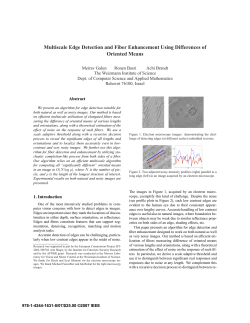 Galun Basri Brandt - Multiscale Edge Detection and Fiber