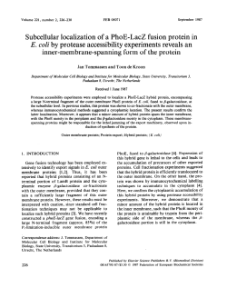 Subcellular localization of a PhoE-Lad fusion protein in E. coli by