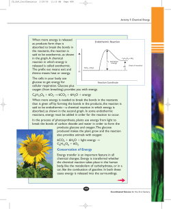 Endothermic Reaction, 499
