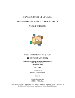 a kaleidoscope of culture: measuring the diversity of chicago`s