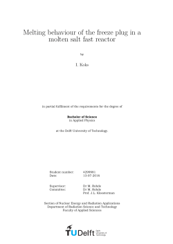 Melting behaviour of the freeze plug in a molten salt fast reactor