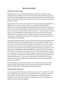 DENTAL CARE IN HORSES Healthy teeth, healthier horse Regular