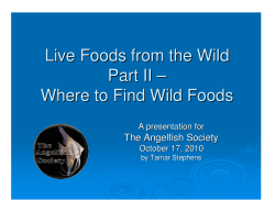 Live Foods from the Wild Part II &ndash; Where to Find Wild Foods