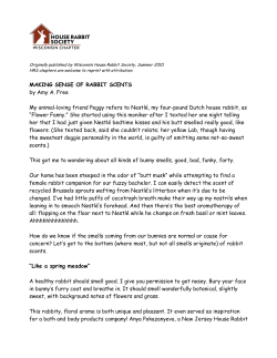 making sense of rabbit scents - Wisconsin House Rabbit Society