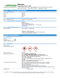 Diborane B2H6 Safety Data Sheet SDS P4586