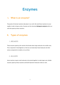 Enzymes - cloudfront.net