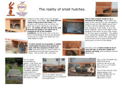 The reality of small hutches.