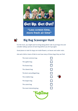 B Big Bug Scavenger Hunt