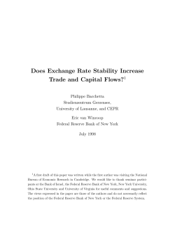Does Exchange Rate Stability Increase Trade and Capital Flows?1