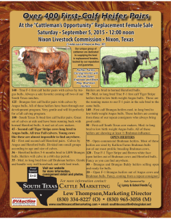 Over 400 First-Calf Heifer Pairs
