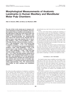 Morphological Measurements of Anatomic Landmarks