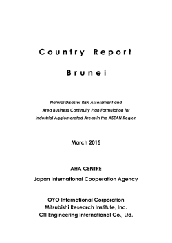Country Report Brunei