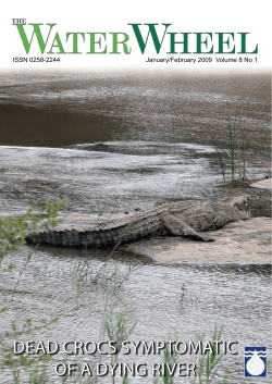 DEAD CROCS SYMPTOMATIC OF A DYING RIVER