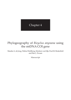 Chapter 4 Phylogeography of Bicyclus anynana using the mtDNA
