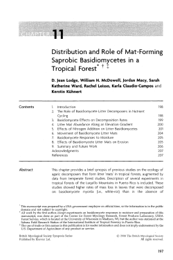 Distribution and Role of Mat-Forming Saprobic Basidiomycetes in a