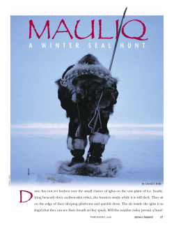 Mauliq - A Winter Seal Hunt
