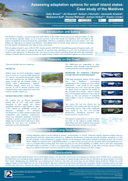 Assessing adaptation options for small island states