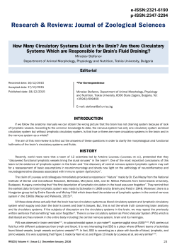 How Many Circulatory Systems Exist in the Brain? Are There