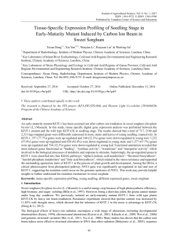 Tissue-Specific Expression Profiling of Seedling Stage in Early