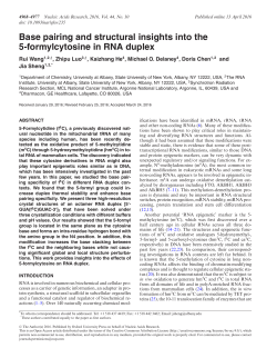 Base pairing and structural insights into the 5