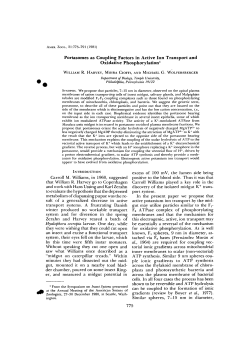 Portasomes as Coupling Factors in Active Ion Transport and