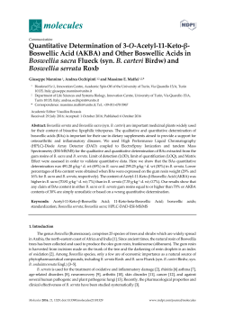 syn. B. carteri Birdw