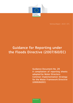 Guidance for Reporting under the Floods Directive