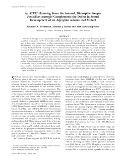 An STE12 Homolog From the Asexual, Dimorphic Fungus